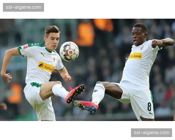 门兴vs海登海姆:双方球员庆祝得分瞬间被镜头捕捉 门兴vs海登海姆:双方球员庆祝得分瞬间被镜头捕捉